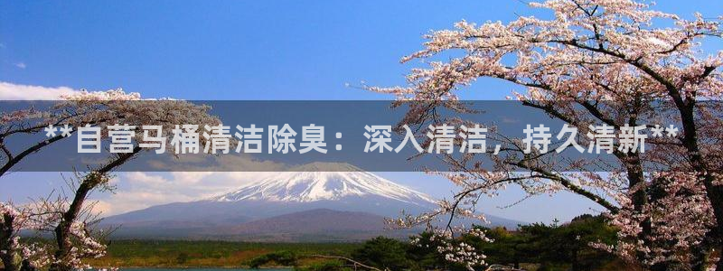 尊龙凯时网站赌愽做假吗：**自营马桶清洁除臭：深入清洁，