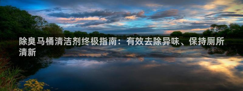 凯时平台官网RA来就送38：除臭马桶清洁剂终极指南：有效