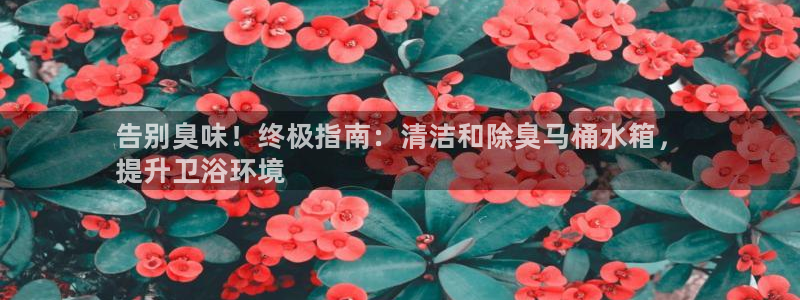 尊龙凯时注册：告别臭