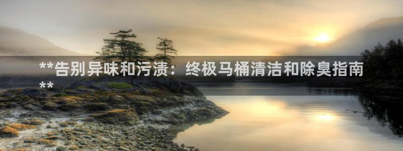 尊龙官网下载：**告别异味和污渍：终极马桶清洁和除臭指南