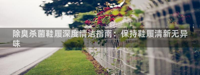 尊龙凯时取钱很慢：除臭杀菌鞋履深度清洁指南：保持鞋履清新