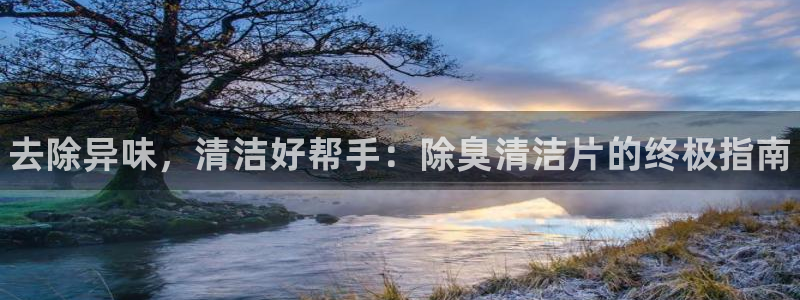 尊龙集团有限公司地址