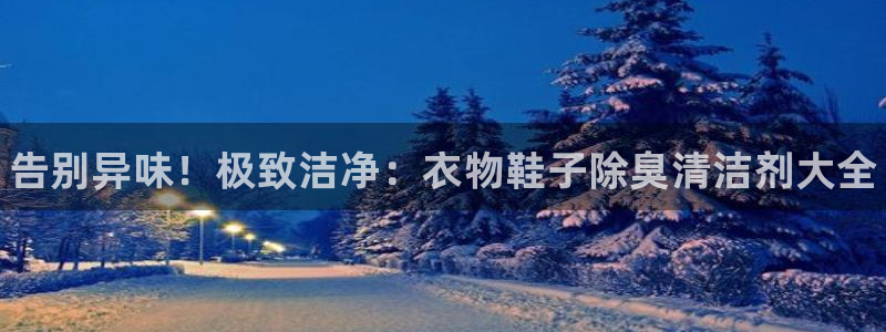 尊龙凯时ag旗舰厅官网客服：告别异味！极致洁净：衣物鞋子