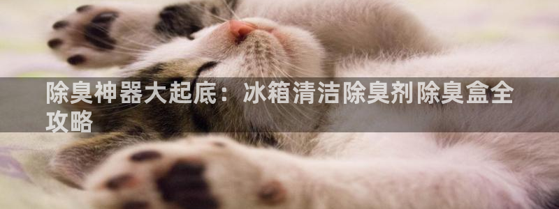 尊龙注册码：除臭神器大起底：冰箱清洁除臭剂除臭盒全
攻略