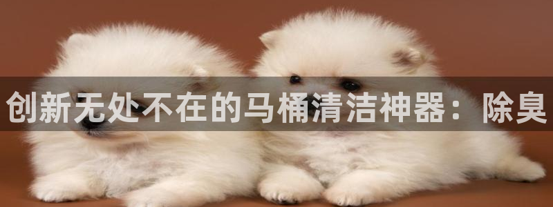 尊龙凯时平台还是万博好