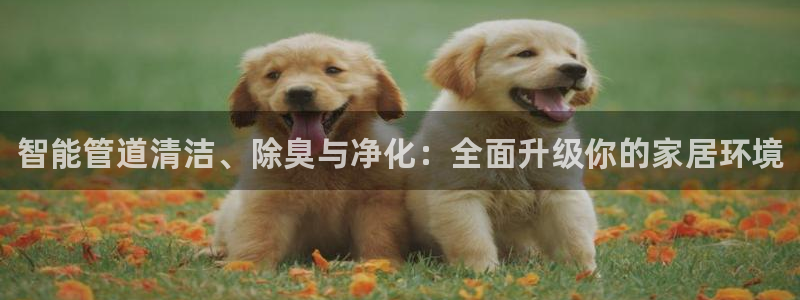 尊龙d88官网QU来就送38