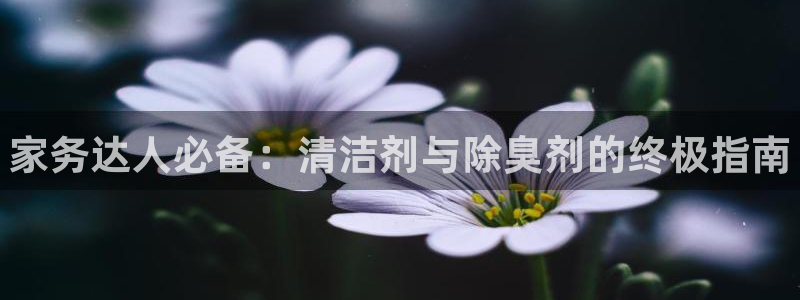 尊龙凯时法拉币：家务