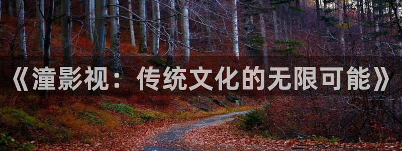 汤姆高清影院在线：《潼影视：传统文化的无限可能》
