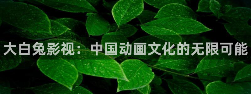 汤姆影院avtom55tom：大白兔影视：中国动画文化的无限可能