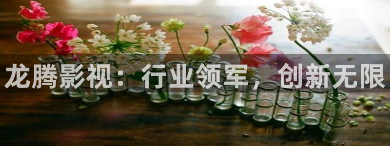 26uuu汤姆影院：龙腾影视：行业领军，创新无限