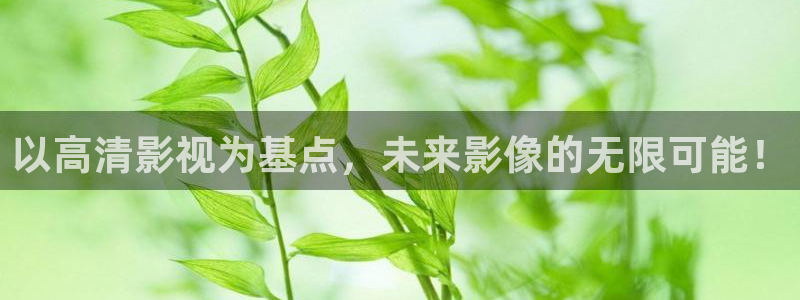 汤姆私人影院在线播放：以高清影视为基点，未来影像的无限可能！