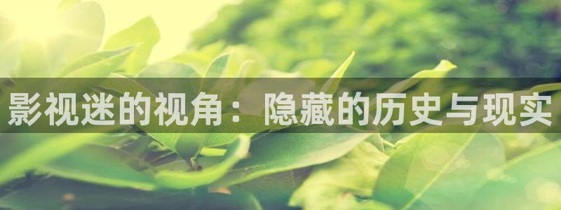 汤姆影院 在线播放：影视迷的视角：隐藏的历史与现实