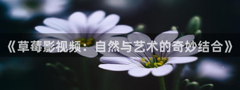 汤姆影院.com：《草莓影视频：自然与艺术的奇妙结合》