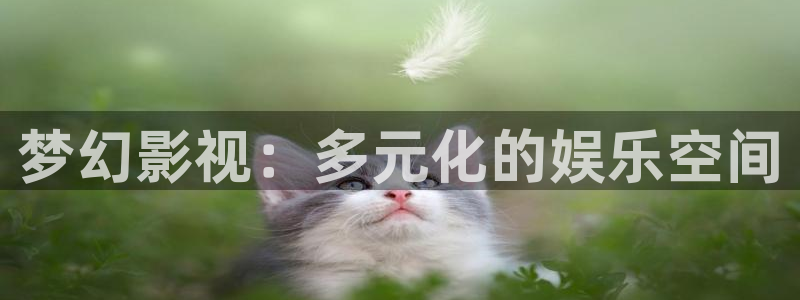 汤姆视频最新入口