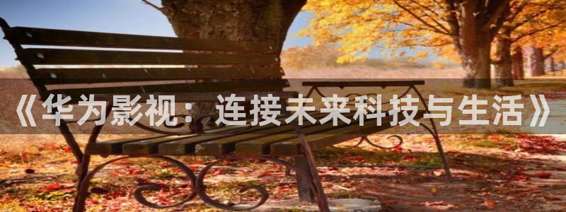欧美汤姆影院：《华为影视：连接未来科技与生活》