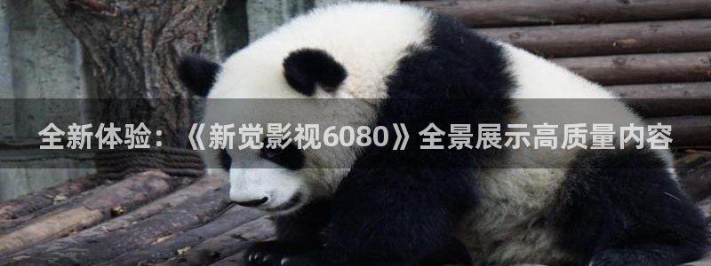 汤姆私人影院的地址：全新体验：《新觉影视6080》全景展示高质量内容