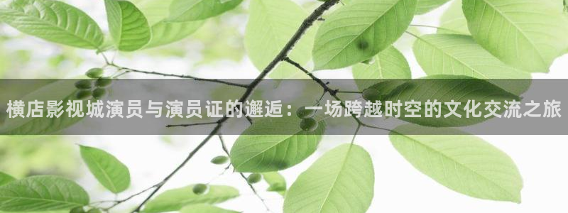 汤姆影院新：横店影视城演员与演员证的邂逅：一场跨越时空的文化交流之旅